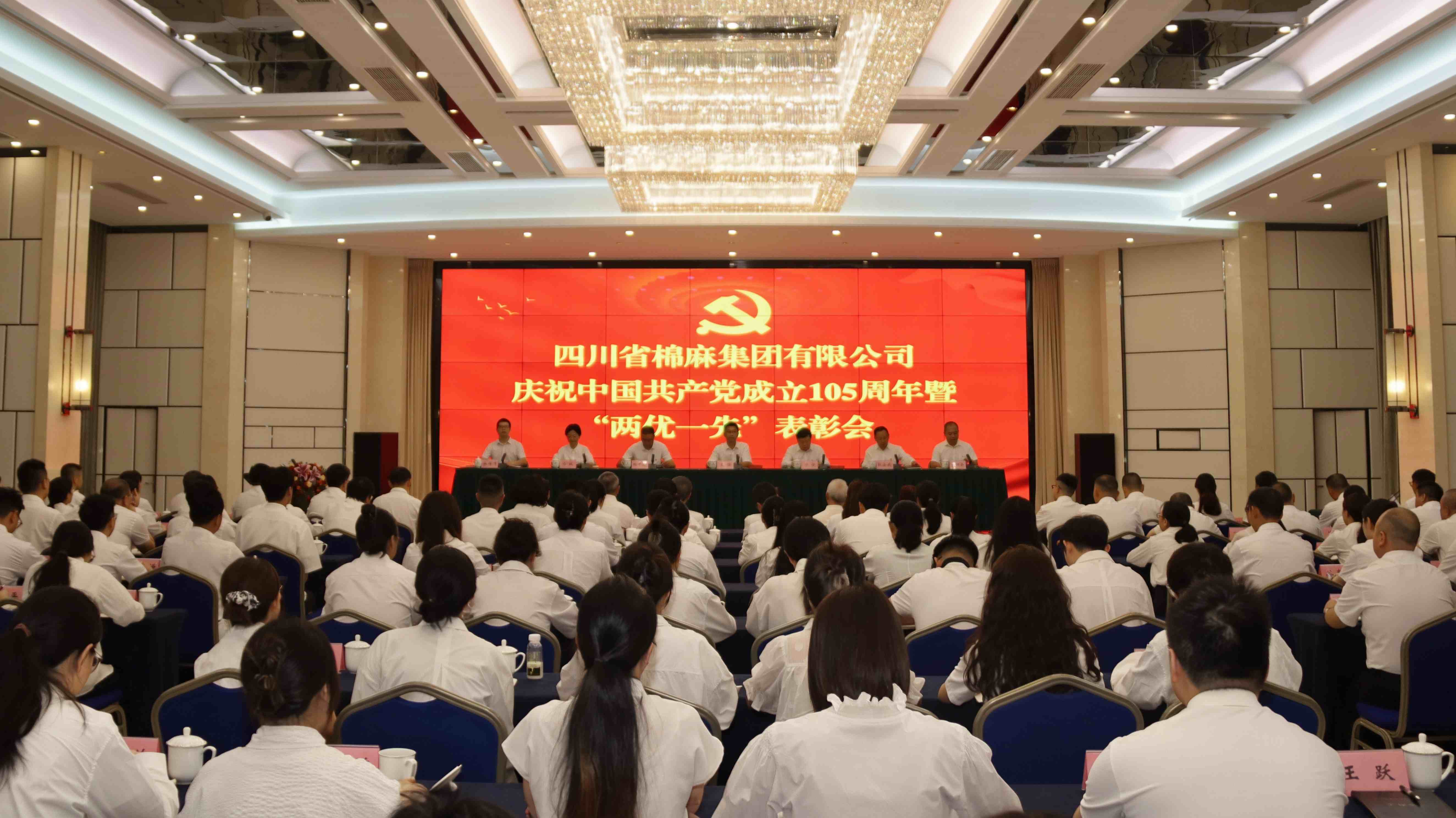 集团公司召开庆祝中国共产党成立105周年暨“两优一先”表彰会和2026年上半年工作总结汇报会